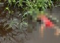 Imagem forte: corpo de homem vestido com roupa de mulher aparece boiando em igarapé de Manaus
