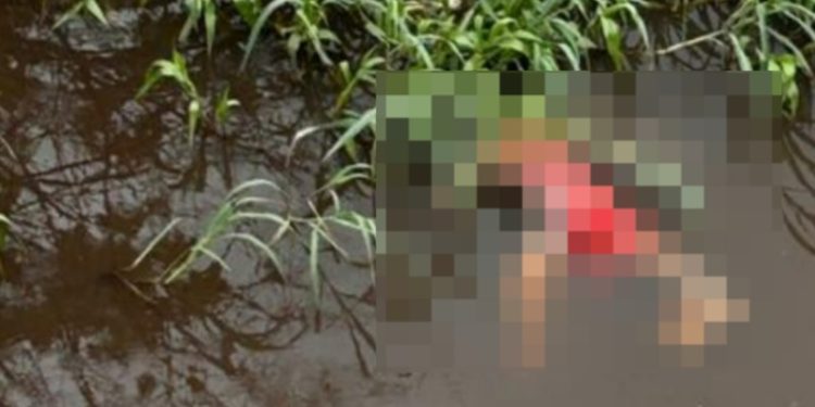Imagem forte: corpo de homem vestido com roupa de mulher aparece boiando em igarapé de Manaus