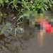 Imagem forte: corpo de homem vestido com roupa de mulher aparece boiando em igarapé de Manaus