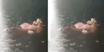 Vídeo: mulher encontra c0rpo com o crânio comido por peixes no Amazonas: ‘tir0 na cabeça’