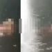 Vídeo forte: mulher vê c0rpo com o crânio comido por peixes no Amazonas: ‘tir0 na cabeça’