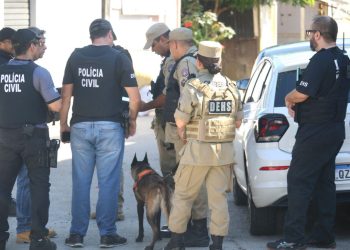 Supostos c0rp0s de vítimas são procurados em área de mata no bairro da União