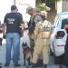 Supostos c0rp0s de vítimas são procurados em área de mata no bairro da União