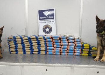 Receita Federal apreende 100 quilos de mac0nha misturada no açaí no Eduardo Gomes