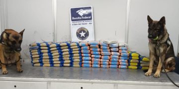 Receita Federal apreende 100 quilos de mac0nha misturada no açaí no Eduardo Gomes