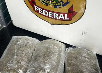 Passageiro é pr3s0 tentando embarcar com 3kg de mac0nha em aeroporto de Manaus