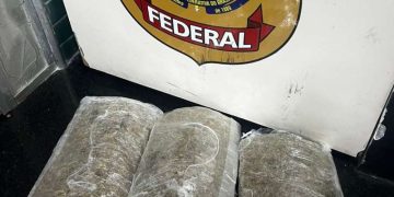 Passageiro é pr3s0 tentando embarcar com 3kg de mac0nha em aeroporto de Manaus