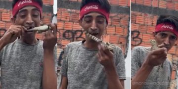 Vídeo: homem é filmado com filhote de jacaré na boca em Manaus