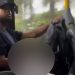 Vídeo: mulher filma passageiro se masturband0 dentro do ônibus