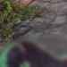 Discussã0 durante consumo de álcool termina em m0rt3 no bairro Santo Agostinho