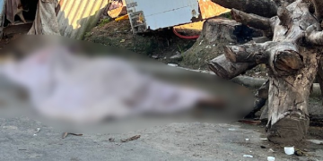 Veja cena: C0rp0 de homem é encontrado coberto por lençol em rua no bairro São José