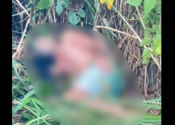 Dupla tenta m@tar motociclista, ele é atingid0 e colid3 em poste na Zona Norte de Manaus; veja