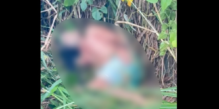 Dupla tenta m@tar motociclista, ele é atingid0 e colid3 em poste na Zona Norte de Manaus; veja