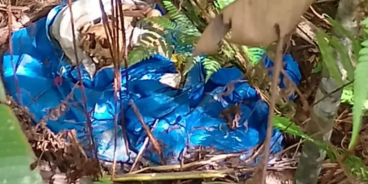 Ossada humana é encontrada por pedestres à beira da AM-010 em Manaus