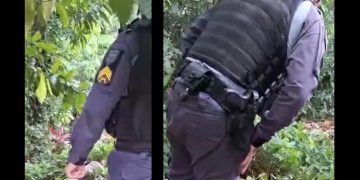 Vídeo forte: veja momento em que polícia encontra jovem m0rt0 em Manaus