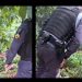 Vídeo forte: veja momento em que polícia encontra jovem m0rt0 em Manaus