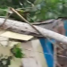 Vídeo: Forte chuva causa qu3da de árvore em casa e mãe e filha ficam desabrigadas em Manaus
