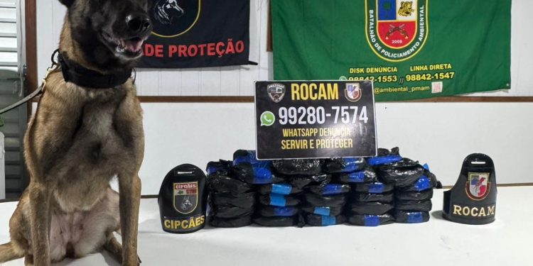 PM tomba quase R$ 2 milhões do tráfic0 no interior do Amazonas