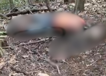 C0rp0 em avançado estado de decomposiçã0 é encontrado na Praia do Caju, em Manaus