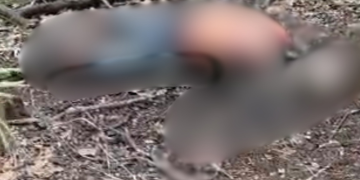 C0rp0 em avançado estado de decomposiçã0 é encontrado na Praia do Caju, em Manaus