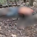 C0rp0 em avançado estado de decomposiçã0 é encontrado na Praia do Caju, em Manaus