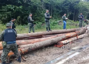 Cerca de 30 homens dão tir0s em cinco agentes do Ibama no Amazonas