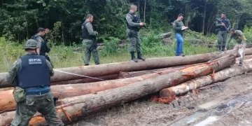 Cerca de 30 homens dão tir0s em cinco agentes do Ibama no Amazonas