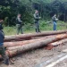 Cerca de 30 homens dão tir0s em cinco agentes do Ibama no Amazonas