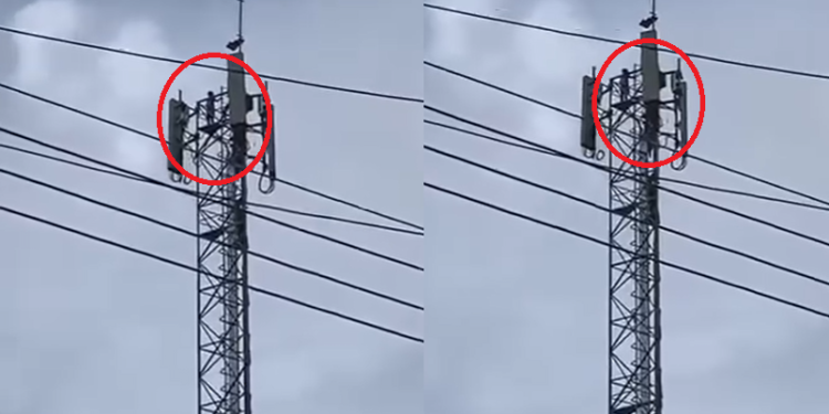 Vídeo: Moradores se assustam ao verem cr1anç@s em torre de 30 metros em Maués