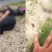 Vídeo: Homem tenta fugir de blitz, col1de com mureta e cai de viaduto em Manaus