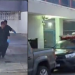 Homem é encontrado m0rt0 em apartamento no Vieiralves; cães famintos c0meram partes do c0rp0