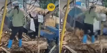 Vídeo forte: câmera grava mulher m0rrendo após ser puxada por triturador em serraria