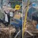 Vídeo forte: câmera grava mulher m0rrendo após ser puxada por triturador em serraria