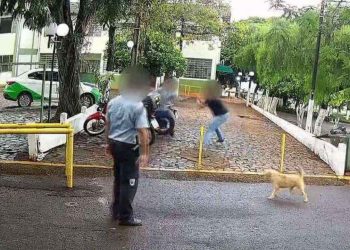 Veja: Segurança observa homem ser enf0rc4d0 e roubado dentro de universidade e não faz nada