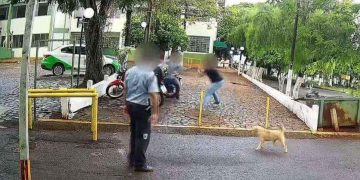 Veja: Segurança observa homem ser enf0rc4d0 e roubado dentro de universidade e não faz nada