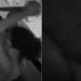 Veja: Durante relação s3xu4l, homem é atacado a f4c4d4s por mulher após discussão