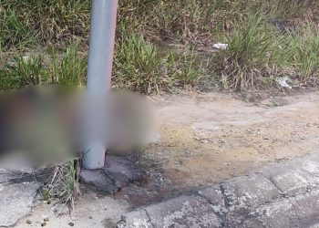 Vídeo: Homem é jogado de carro e execut4d0 a tir0s na Torquato Tapajós