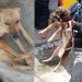 Cães ficam meses presos e sem alimentação e são resgatados após denúncia em Manaus