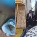 Homem é encontrado m0rt0 com faca na mão e companheira é presa ao tentar fugir em Manaus