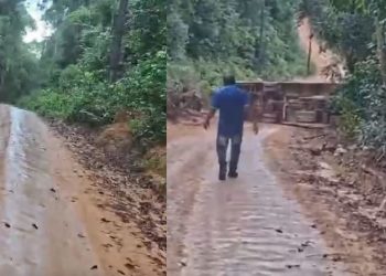 Vídeo: Durante subida, ônibus escolar perde controle e capota na BR-174