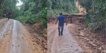 Vídeo: Durante subida, ônibus escolar perde controle e capota na BR-174