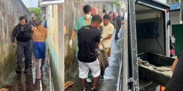 Polícia prende suspeito de ser o assassin0 da quitinete no Coroado