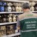 FVS orienta sobre cuidados com alimentos consumidos na Semana Santa