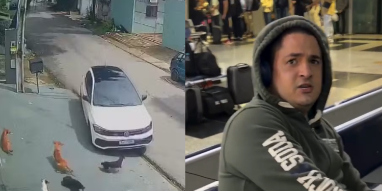 Vídeos: Homem é pr3s0 no aeroporto após atr0p3lar vários cães de propósito no Parque 10 e fugir