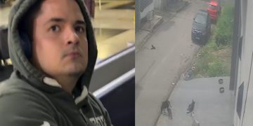 Cadela m0rr3u na hora e cinco cães estão hospitalizad0s em Manaus após atr0p3lamento