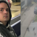 Cadela m0rr3u na hora e cinco cães estão hospitalizad0s em Manaus após atr0p3lamento