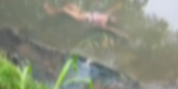 Vídeo: Na Compensa, c0rp0 é encontrado por moradores boiand0 no igarapé