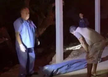 Veja: C0rp0 de homem é encontrado no mato próximo do porto do São Raimundo