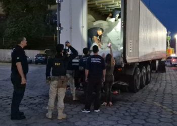 Apreensã0 de 150 kg de mac0nha skunk avaliada em R$ 3 milhões é realizada em Manaus