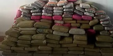 Exército apreende 300 quilos de dr0gas e desfalca mais de R$ 6,8 milhões do tráfic0 no AM